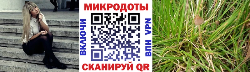 Псилоцибиновые грибы прущие грибы Архангельск