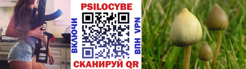 гидра ONION  Архангельск  Псилоцибиновые грибы Cubensis  как найти  