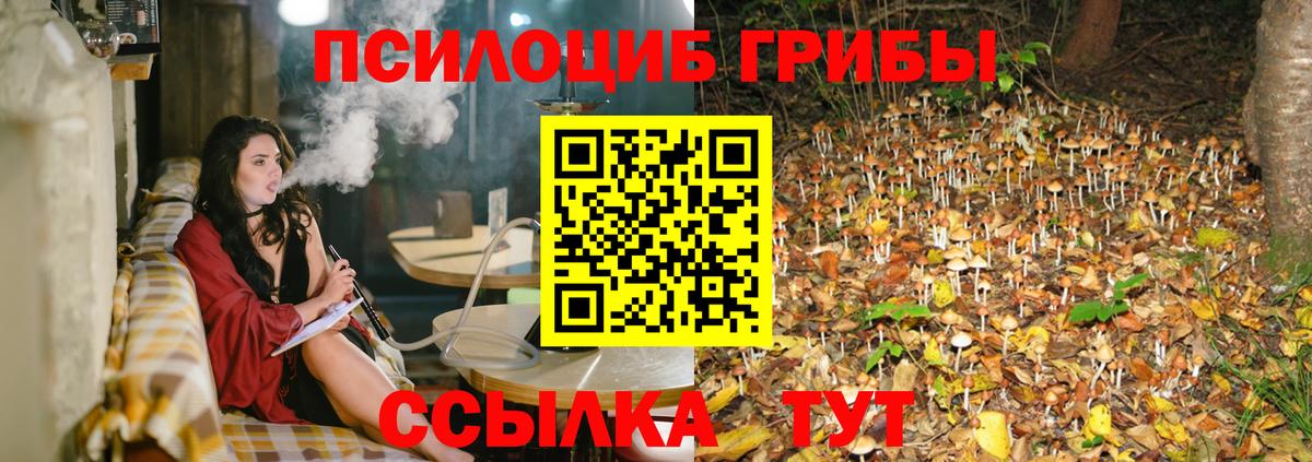 Псилоцибиновые грибы Cubensis Архангельск